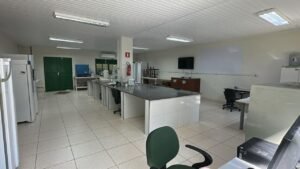 Laboratório de Genética e Melhoramento de Plantas