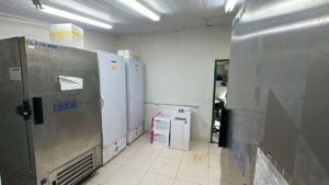 Laboratório de Genética e Melhoramento de Plantas