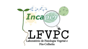 f2f119be b0ec 4798 9d38 a82ee5755893.jpg