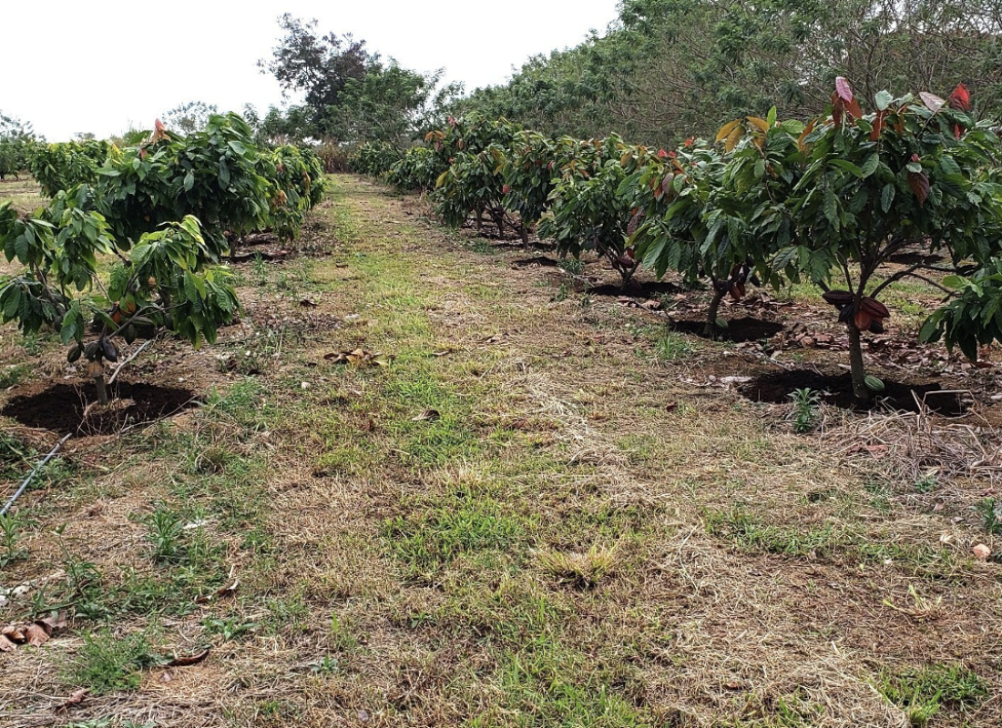 captura de tela 2025 12 03 às 11.07.37