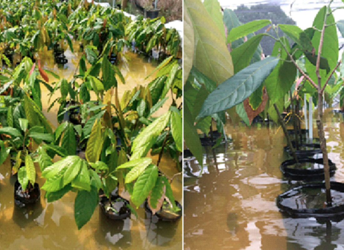 captura de tela 2026 03 27 às 12.14.34