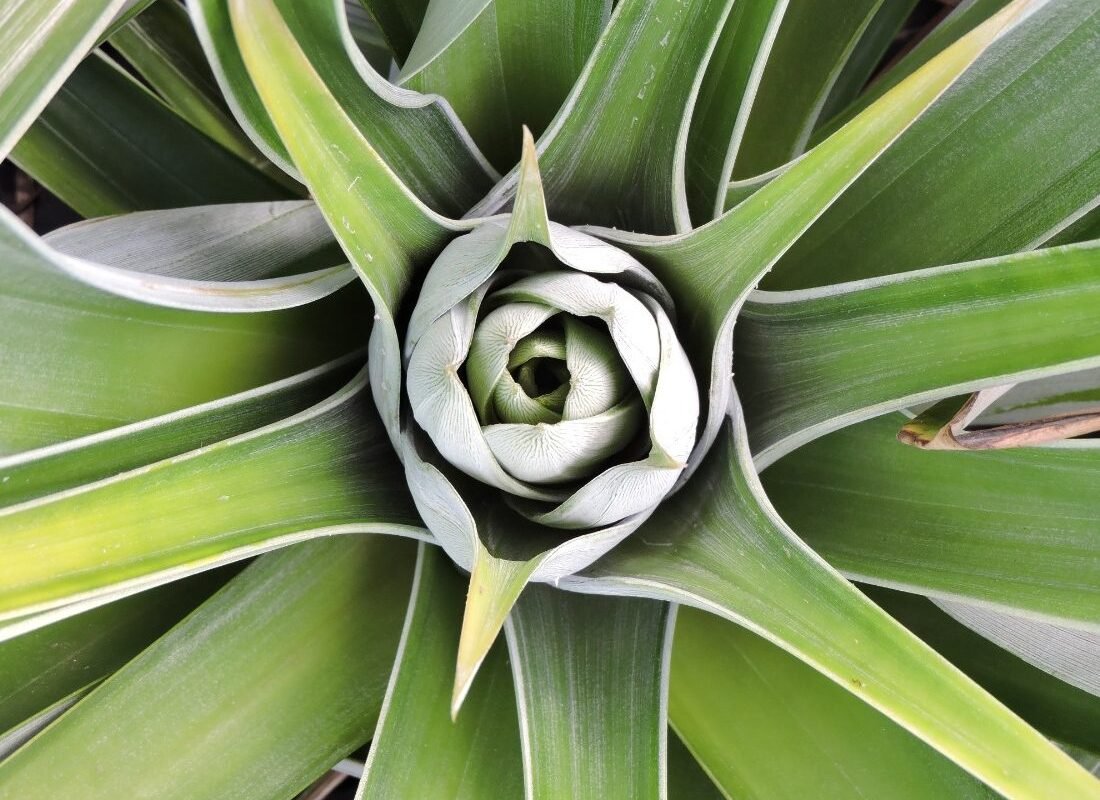 photo 2025 06 05 10 37 25